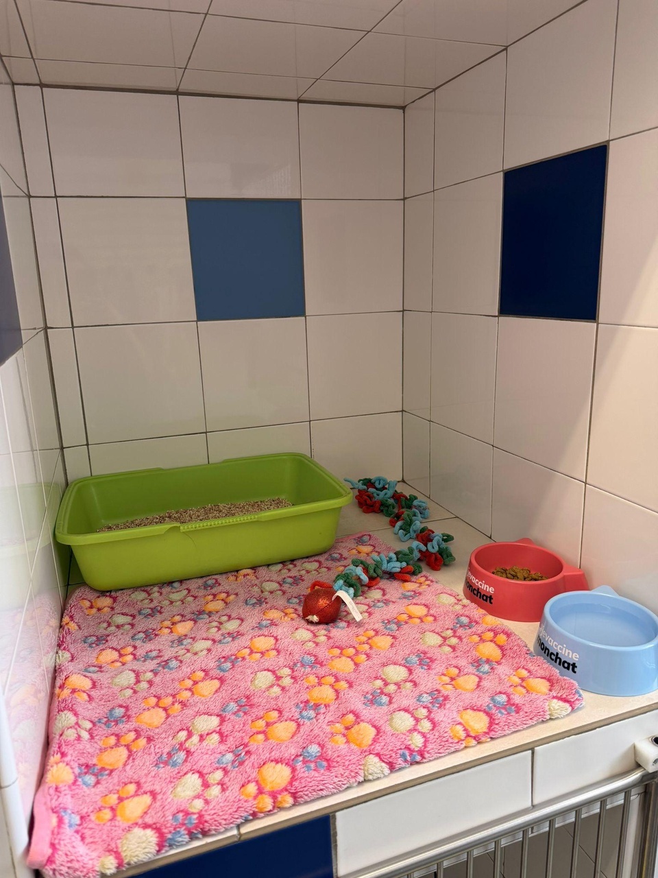 Hospitalisation Hospitalisation