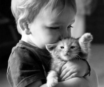 Pourquoi vermifuger son animal? Pourquoi vermifuger son animal?