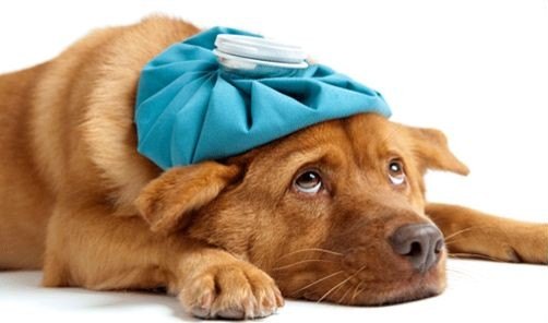 Urgences