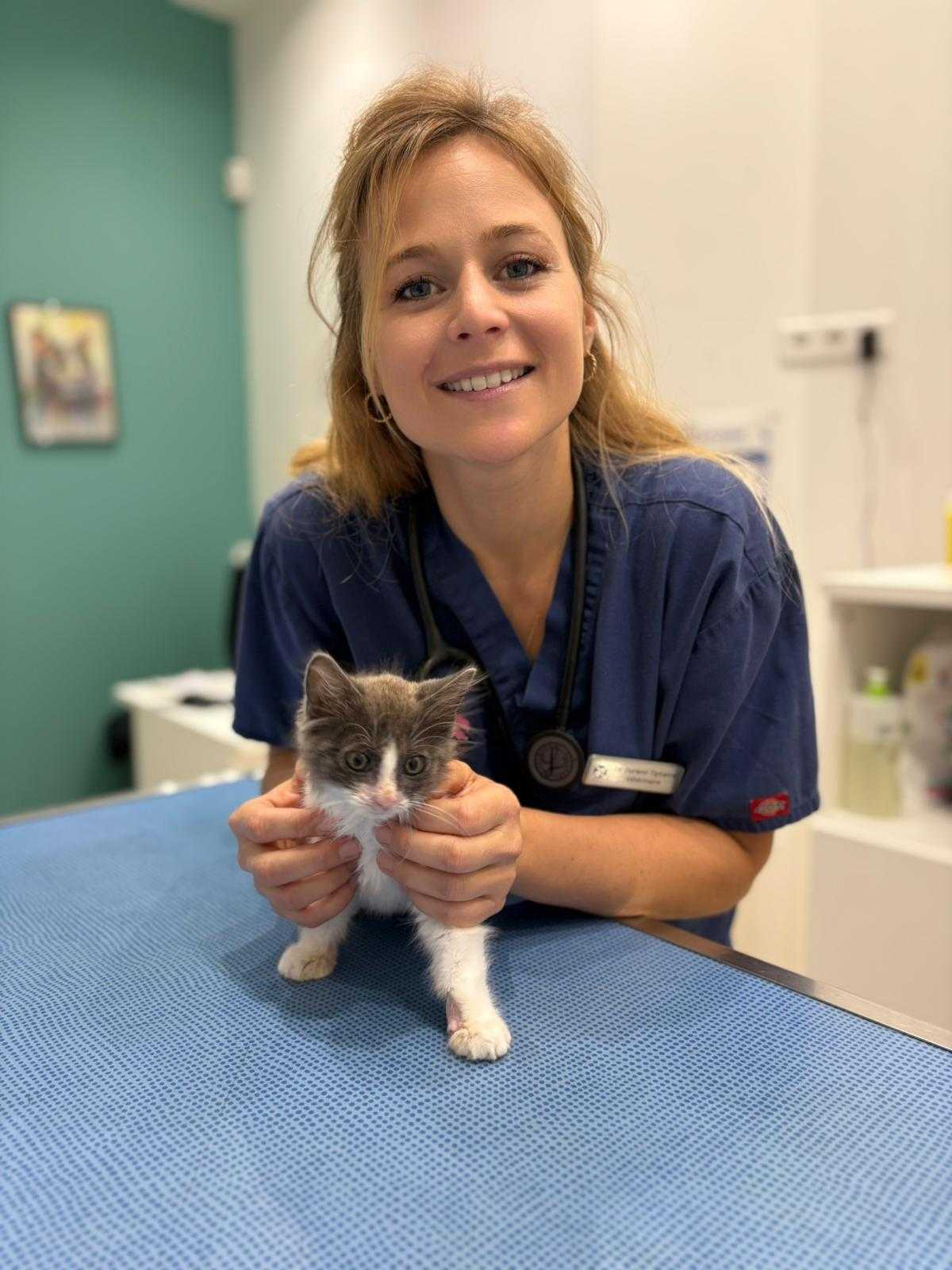 DrV. Tiphaine Durand