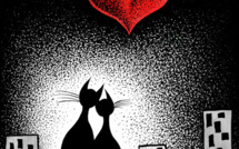 Pourquoi faire stériliser son animal?